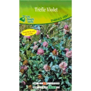 Trèfle violet