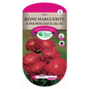 Reine marguerite super princesse écarlate