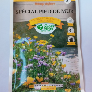 Mélange de fleurs Spécial pied de mur