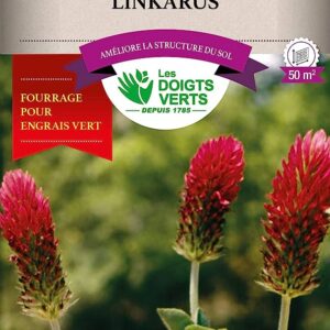 Trèfle Incarnat Linkarus