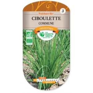 Ciboulette commune