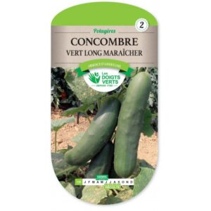 Concombre vert long maraîcher