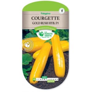 Courgette Gold Rush hybride F1