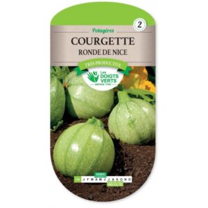 Courgette ronde de Nice