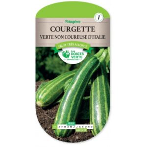Courgette verte non coureuse d'Italie