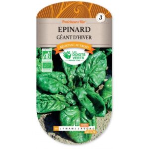 Epinard géant d'hiver