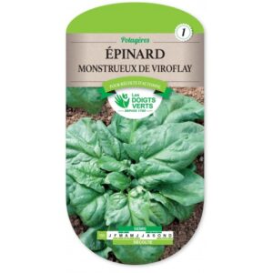 Epinard monstrueux de Viroflay
