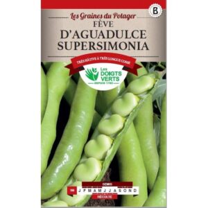 Fève d'Aguadulce supersimonia