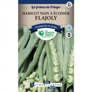 Haricot nain à écosser Flajoly