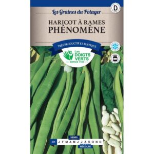 Haricot à rames Phénomène