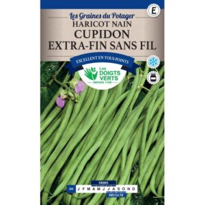 Haricot nain Cupidon extra-fin sans fil