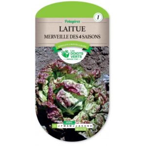 Laitue merveille des 4 saisons