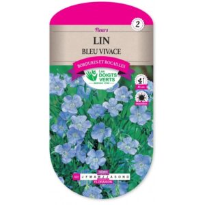 Lin bleu vivace