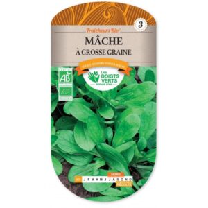 Mâche à grosse graine