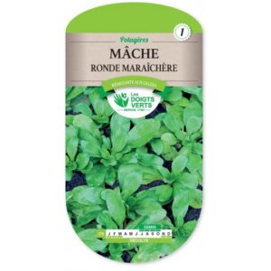 Mâche ronde maraîchère