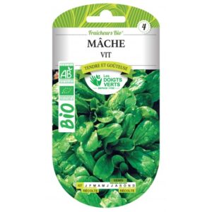 Mâche vit