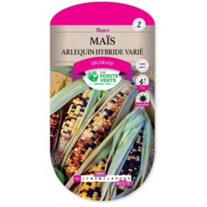 Maïs Arlequin hybride varié