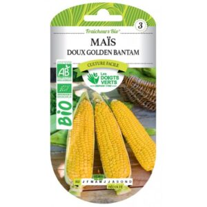 Maïs doux Golden Bantam
