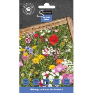 Mélange de fleurs Biodiversité