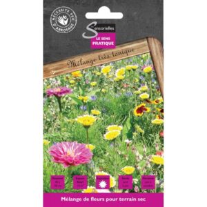 Mélange de fleurs Terrain sec