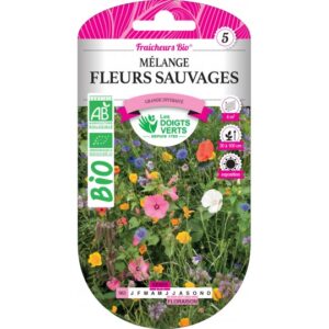 Mélange fleurs sauvages