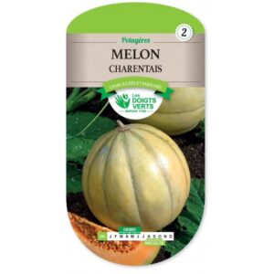 Melon charentais