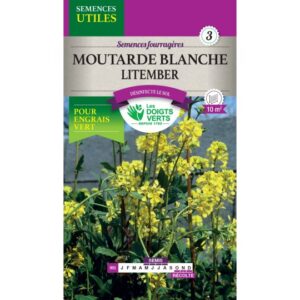 Moutarde blanche Litember