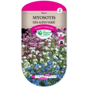 Myosotis des Alpes varié