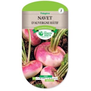 Navet d'Auvergne hâtif
