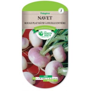 Navet Rouge plat hâtif à feuille entière