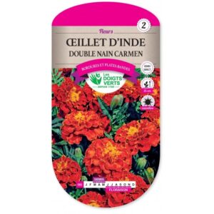 Oeillet d'Inde double nain Carmen