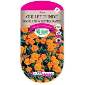 Oeillet d'Inde double nain petite orange