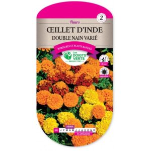 Oeillet d'Inde double nain varié