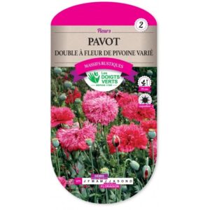 Pavot double à fleur de pivoine varié