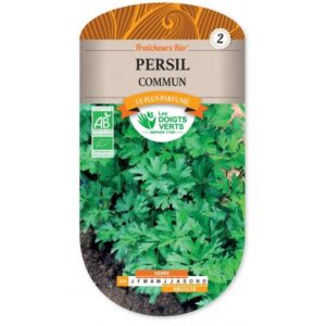 Persil commun