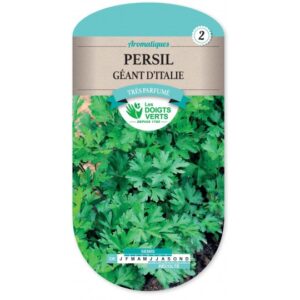 Persil géant d'Italie
