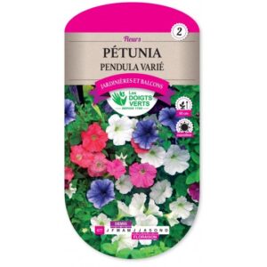 Pétunia pendula varié