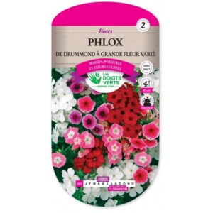 Phlox de Drummond à grande fleur varié