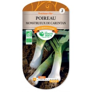 Poireau monstrueux de Carentan