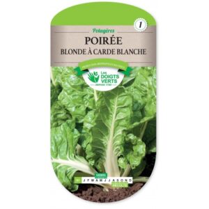 Poirée verte à carde blanche