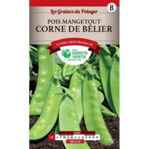 Pois Mangetout corne de bélier