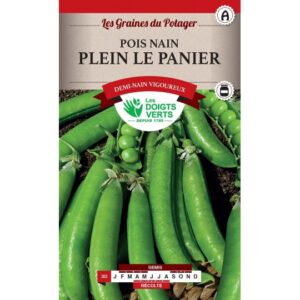 Pois nain plein le panier