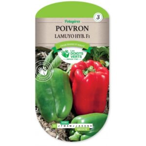 Poivron Lamuyo Hybride F1