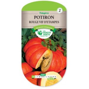 Potiron rouge vif d'Etampes