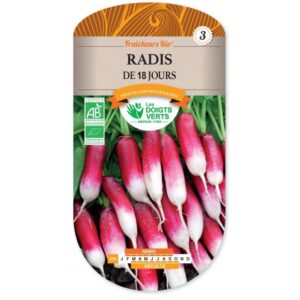 Radis de 18 jours