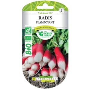 Radis flamboyant