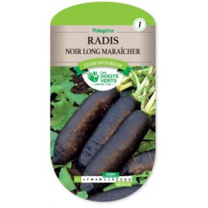 Radis noir long maraîcher