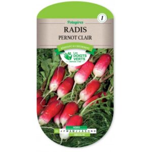 Radis pernot clair
