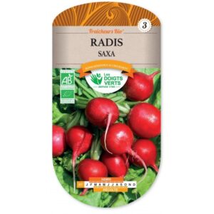Radis saxa 3