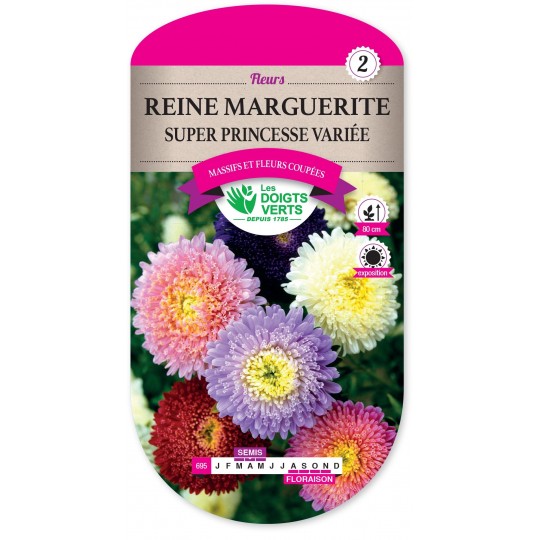 Reine marguerite super princesse variée